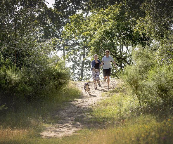 Stuifduinen Wetteren