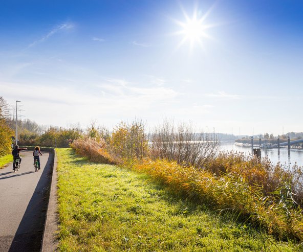 Fietsers Schelle Wintam
