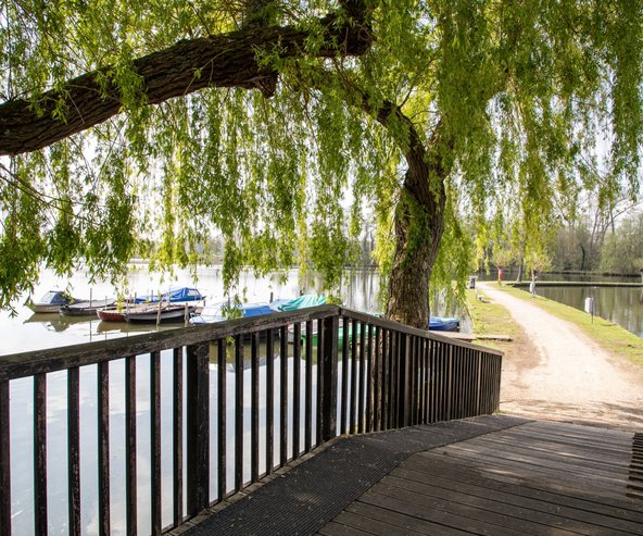 Bootjes aan het donkmeer