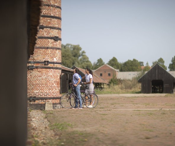 steenbakkerij boom rupelstreek