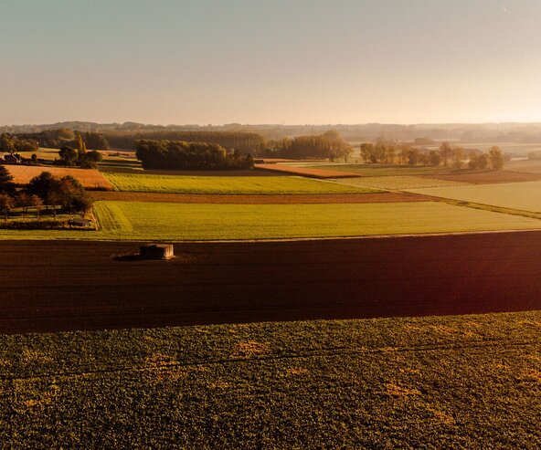 Zonsondergang over de Asselkouter in Munte