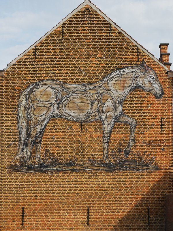 Natuurhuis De Paardenstal in Niel