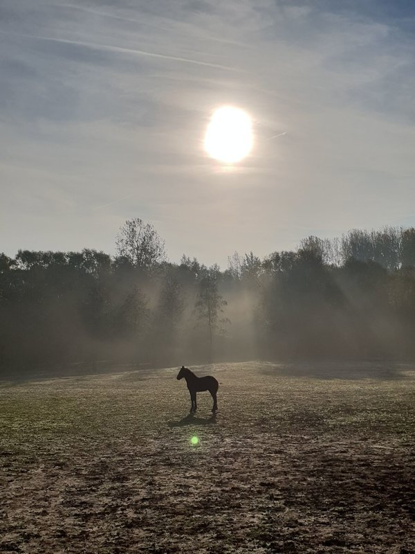 Den Dotter in Erpe-Mere en Haaltert