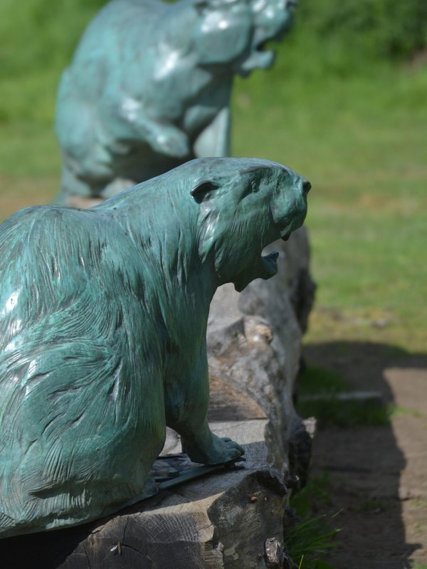 Bevereiland in Blaasveldbroek in Willebroek