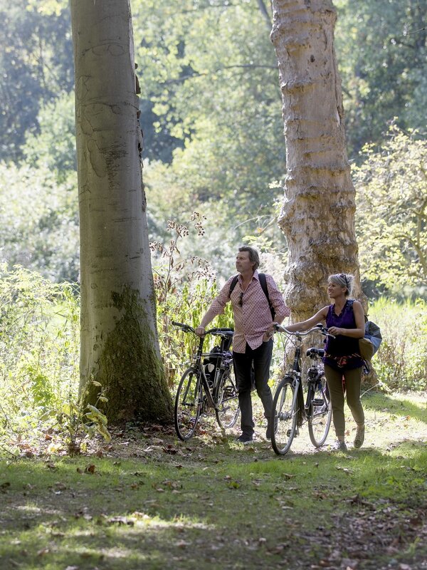 stiltegebied hingene bornem