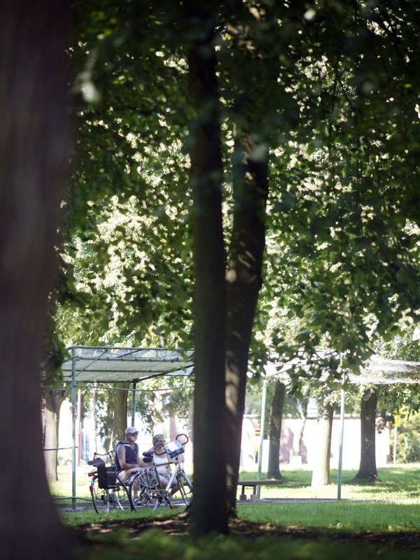 Dries Opdorp Buggenhout