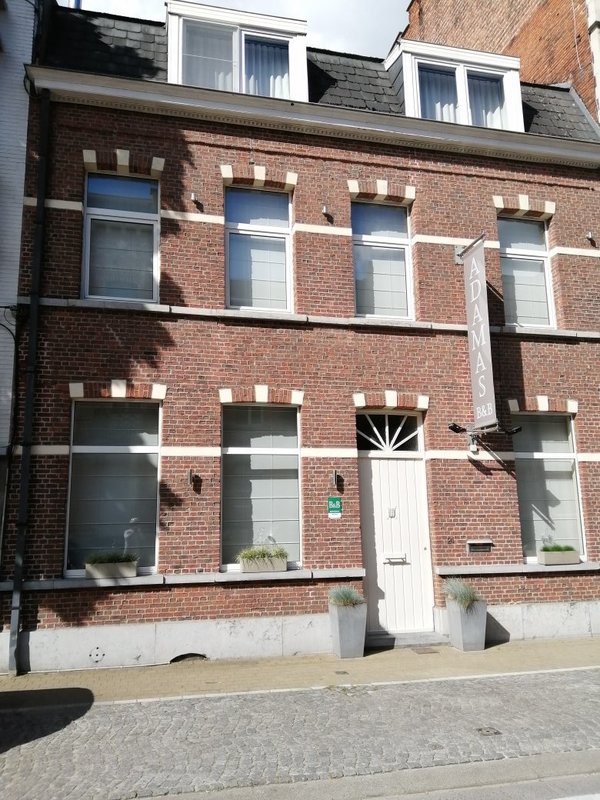 B&amp;B Adamas in Dendermonde