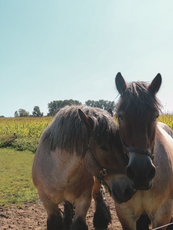 Den Dotter Wandelroute