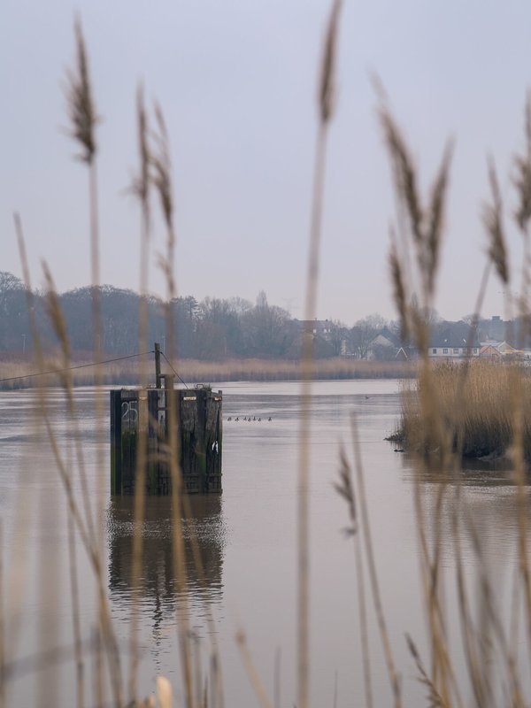 Noordelijk Eiland