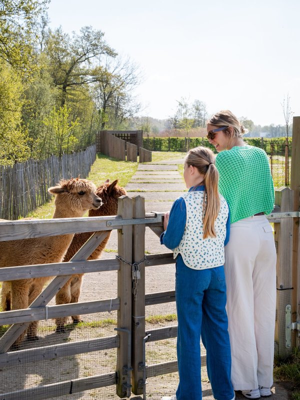 aaidierenweide Berlare