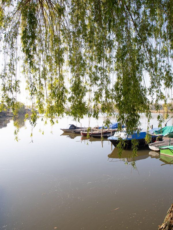 Bootjes Donkmeer Berlare