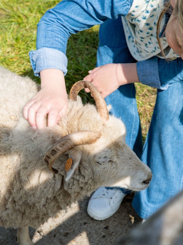 Aaidierenweide Berlare