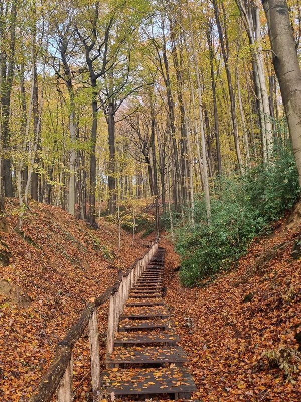 neigembos ninove meerbeke